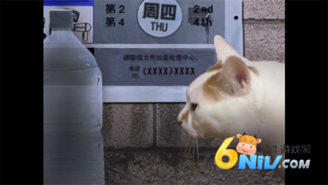 17671334351747_water