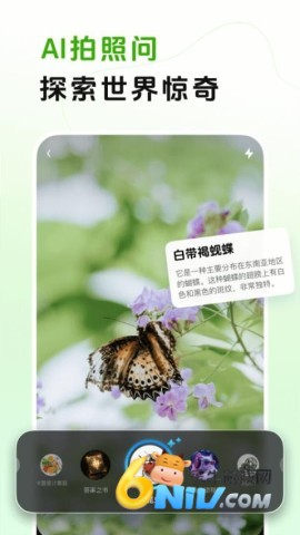 17666806378248_water