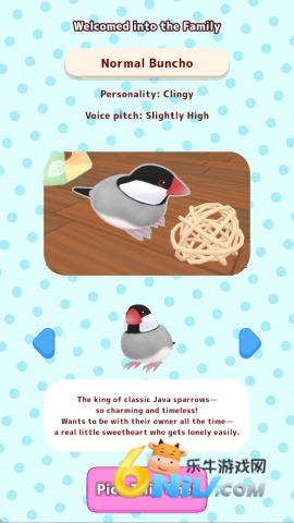 17677716459387_water