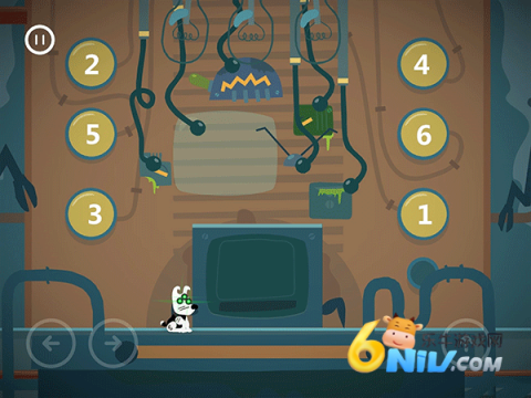 ��Ƥ��ð���ξ����ڹ� ��6��ͼ