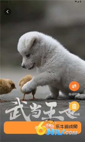 17673204921842_water