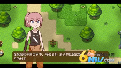 17672481306010_water