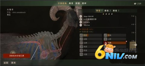 ����֮·��Ұŷ�� ��12��ͼ