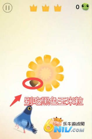 ���ĸ��� ��13��ͼ