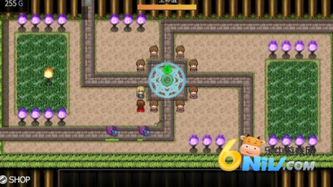 �ɿ�˹���� ��1��ͼ