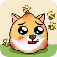 ����ҵĹ���