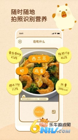 17694184504764_water