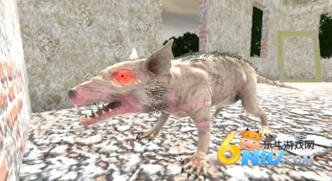 17671302744424_water