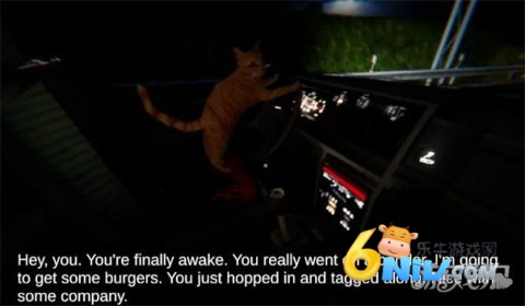 17696125336888_water