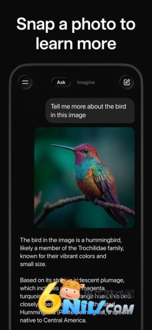 17686441443298_water