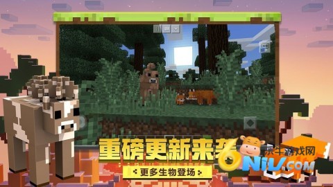 17696096766208_water