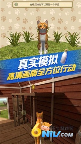 17689899716192_water