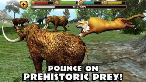 7a3de455f5614d649d822cd8d7986e0c