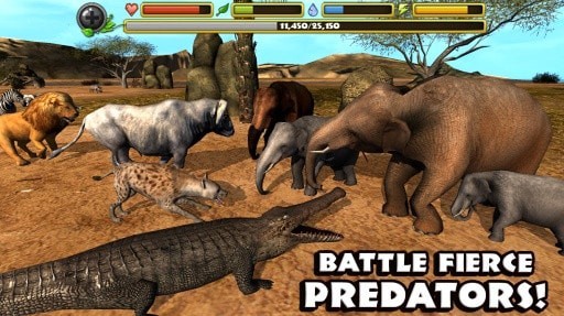 b1a5e481047c070ca80e3f4d9ba1b6ef