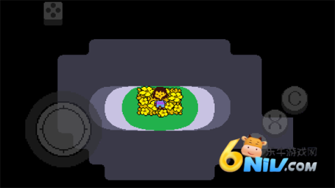 17703697877512_water