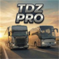 TDZ��ʻģ����