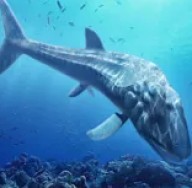 ����ģ����