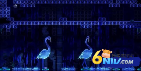 动物井 第2张图