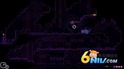 动物井 第1张图