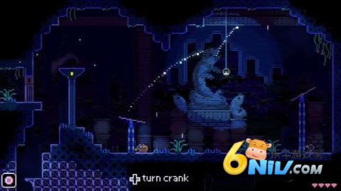 动物井 第3张图