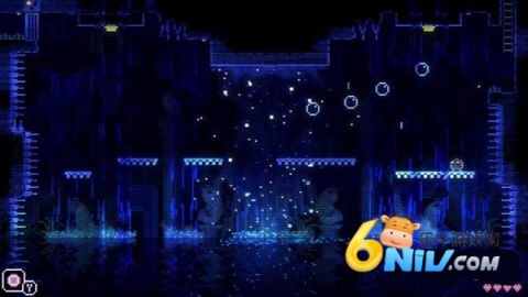 动物井 第4张图