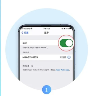 MERIT��ȼ֬ ��1��ͼ