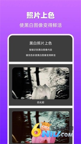 17725165601029_water