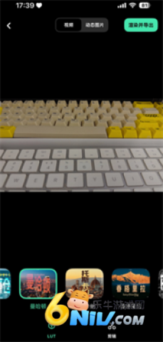 17726068019013_water