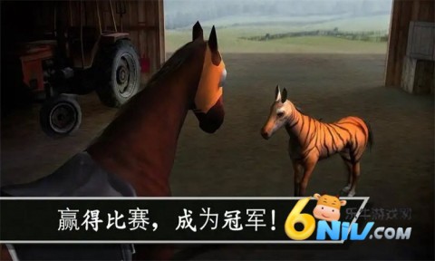 17703745379853_water