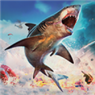 ʳ����ֱװ��