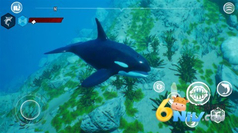 ʳ����ֱװ�� ��3��ͼ