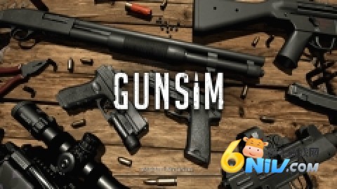 GUNSIM ��1��ͼ