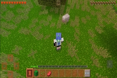 20260209_20260115041409412