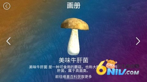 ��ʵ�ɼ�Ģ��ģ���� ��4��ͼ