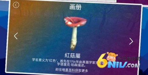 ��ʵ�ɼ�Ģ��ģ���� ��5��ͼ