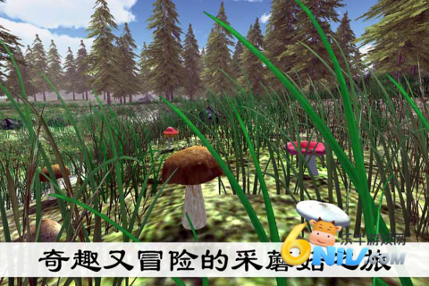 17737925334833_water