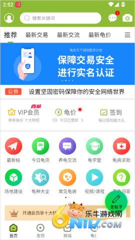 龟友天下 第1张图