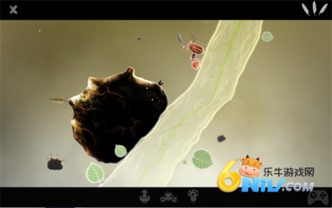 ֲ�ﾫ�� ��1��ͼ