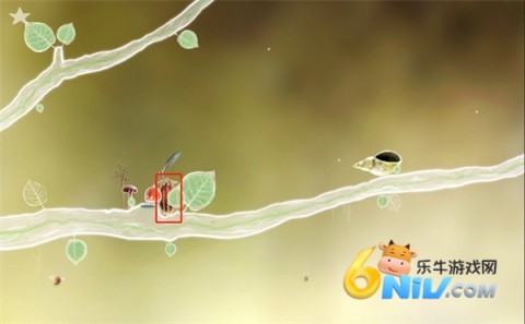 ֲ�ﾫ�� ��4��ͼ