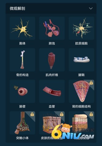 ���ʴ�ʦ ��2��ͼ