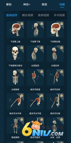 ���ʴ�ʦ ��4��ͼ