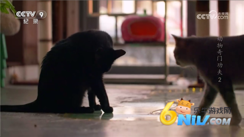 WebView����TV�� ��3��ͼ