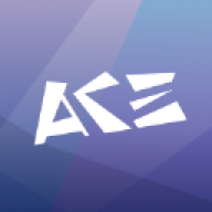 ACE����輧������