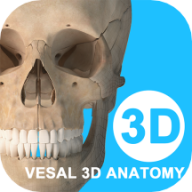 ά����3D����