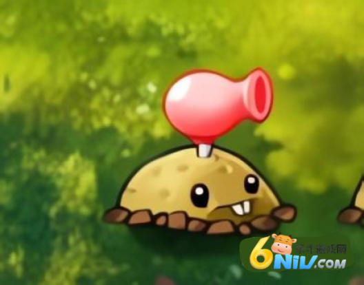 ֲ���ս��ʬ�ںϰ�������ҷ� ��17��ͼ