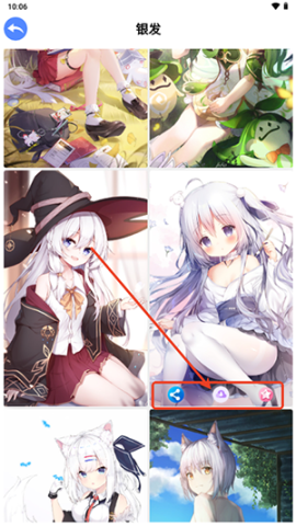波奇壁纸 第6张图