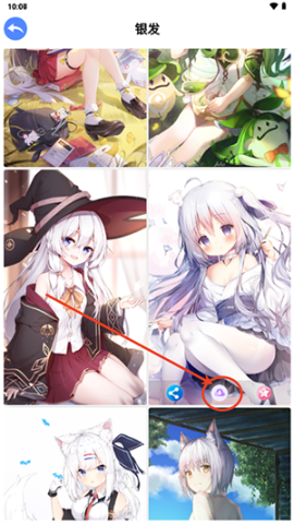 波奇壁纸 第7张图