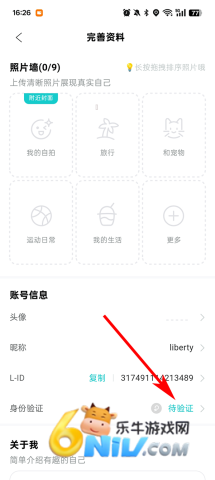 thel 第3张图