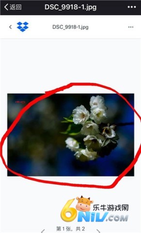 Dropbox 第4张图