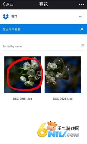 Dropbox 第3张图
